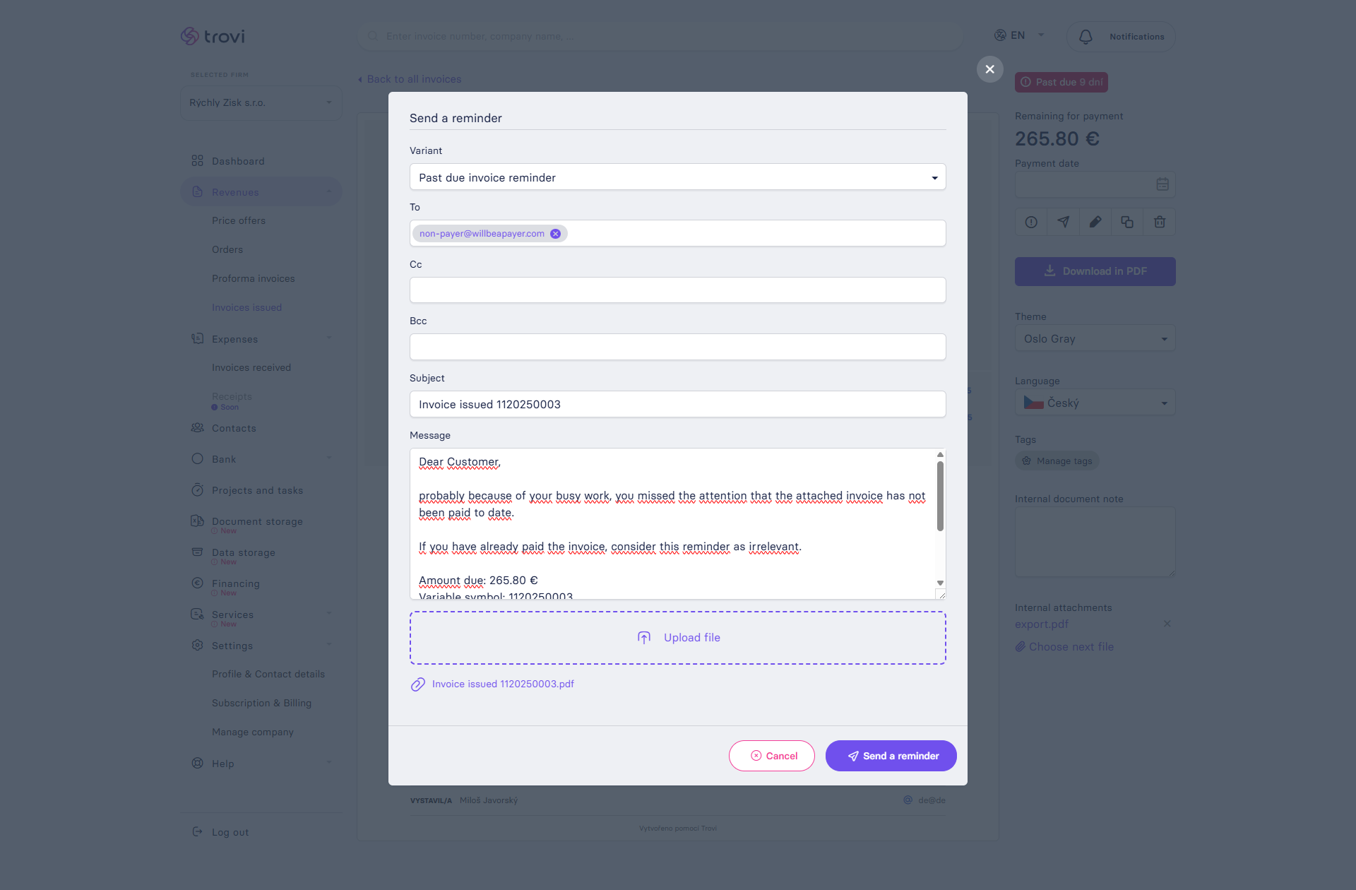 Invoice detail_nonpayer.png
